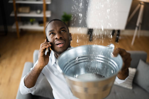 Best Commercial water damage restoration  in Scott City, MO