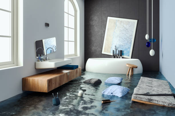Best Water damage contractors near me  in Scott City, MO