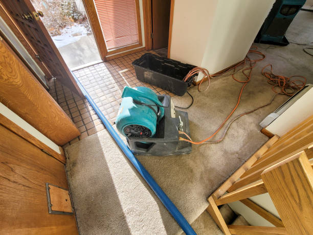 Best Fire Damage Restoration  in Scott City, MO