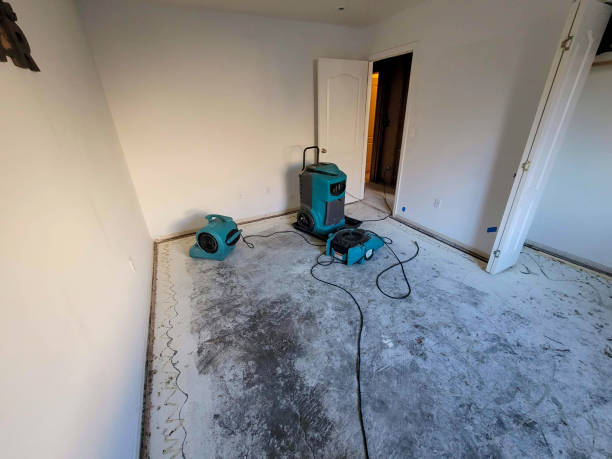Best Flood restoration services  in Scott City, MO