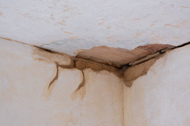 Best Water damage restoration services  in Scott City, MO