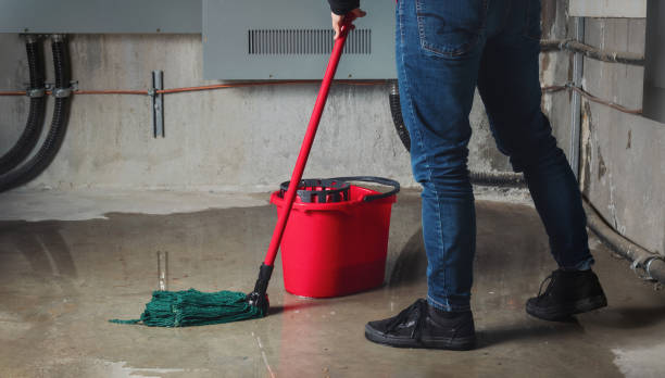 Professional Water damage restoration in Scott City, MO