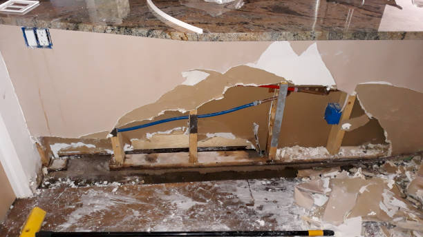 Best Water damage restoration near me  in Scott City, MO