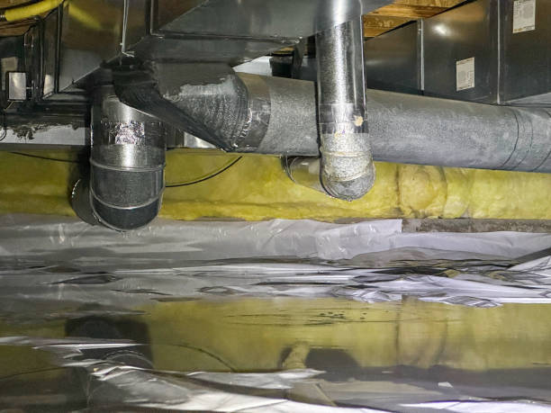 Best Mold removal after water damage  in Scott City, MO